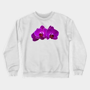 Fuchsia Phalaenopsis Crewneck Sweatshirt